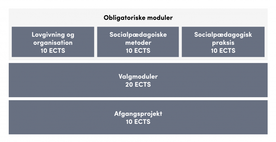 Oversigt over uddannelsens opbygning